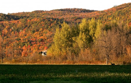 «L’escarpement Eardley signale le début du Bouclier canadien sur la plaine de l’Outaouais.»